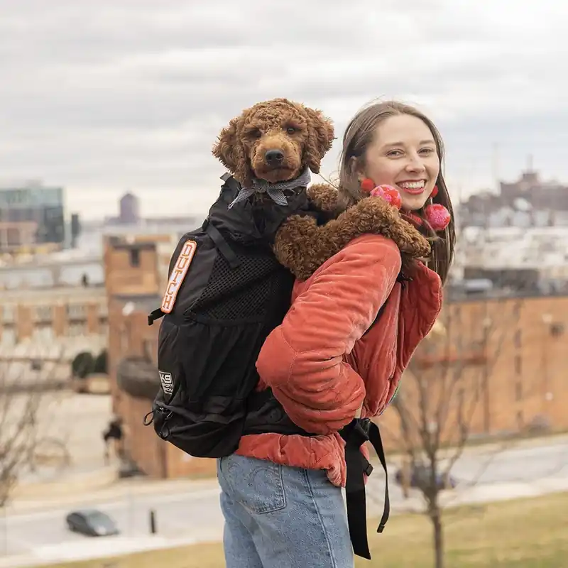 K9 Sport Air 2 Ryggsäck till Hund Svart Sänkt pris