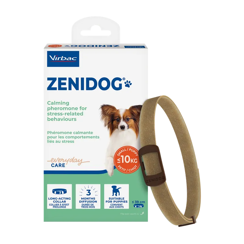 Zenidog Halsband till Hund - S Rabatt