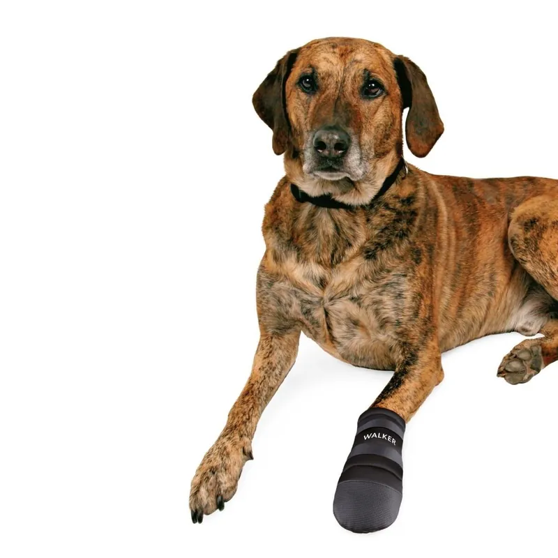 Trixie Hundsko Neopren 2-pack Begränsat erbjudande
