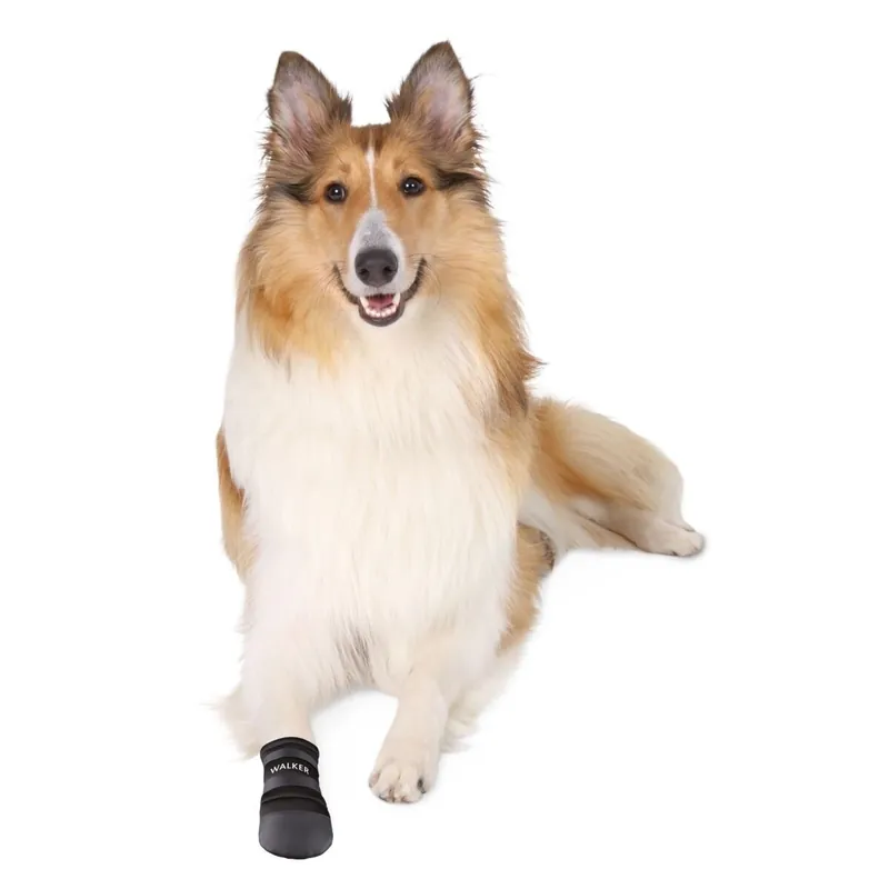 Kampanjpris Trixie Hundsko Neopren 2-pack
