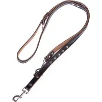 Säker betalning Heim Stars koppel + halsband i läder - Halsband storlek 50 + koppel 200 cm