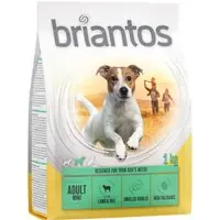 Briantos Adult Mini Lamm & ris - Ekonomipack 4 x 1 kg Trygg betalning