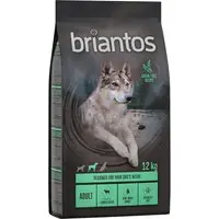 Sista chansen Briantos Grain Free Adult Lamm & potatis - 12 kg