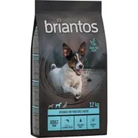 Utförsäljning Briantos Grain Free Adult Mini Lax & potatis - Ekonomipack 2 x 12 kg