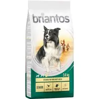 Begränsat antal Briantos Senior med fjäderfä & ris - Ekonomipack 2 x 14 kg