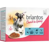 Briantos Chunks in Gravy 12 x 100 g - Lax & morötter Erbjudandepris
