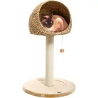 Begränsad tid Karlie Banana Leaf Little Hole klösträd - Naturbeige