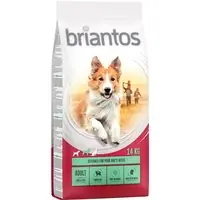 Ekonomipack 2 påsar Briantos till lågpris! - Adult Lamm & ris (2 x 14 kg) Snabb frakt