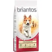 Rea Ekonomipack 2 påsar Briantos till lågpris! - Adult Kyckling & ris (2 x 14 kg)
