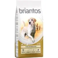 Begränsat erbjudande Briantos Adult Maxi - Ekonomipack 2 x 14 kg