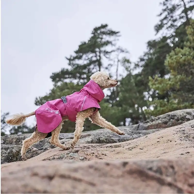 Beställ nu Hurtta Monsoon II Eco Regnjacka Rosa