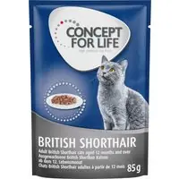 Beställ idag Concept for Life British Shorthair Adult Ragout - 12 x 85 g