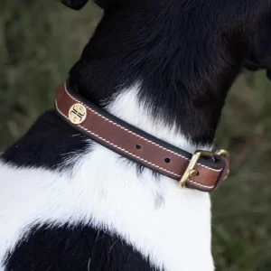 Billig Arezzo Hundhalsband Brun 30cm