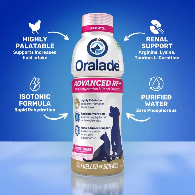 Oralade RF Support Cat - 500 ml Populärt val