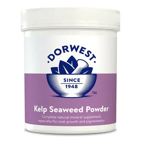 Dorwest kelppulver av sjögräs 250 g Erbjudande