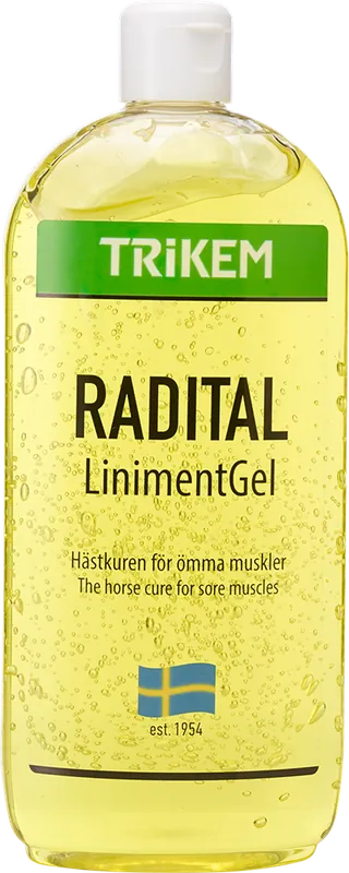 Radital Liniment Gel 250ml Outlet