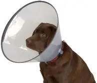 Buster Comfort skyddskrage 25 cm prisnedsättning