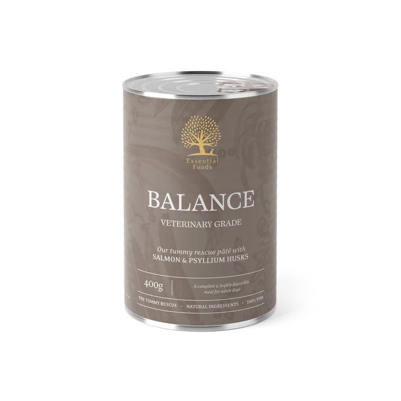 Extra rabatt Essential Balance Paté Hundfoder - 6 x 400 g