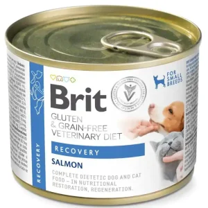 Brit Recovery salmon våtfoder för katter och hundar 200 g I lager