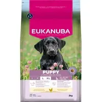Reapris Eukanuba Premium Nutrition Puppy Large & Giant Breed Chicken - 3, kg