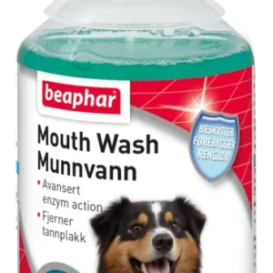 Fynd Munvatten 250ml