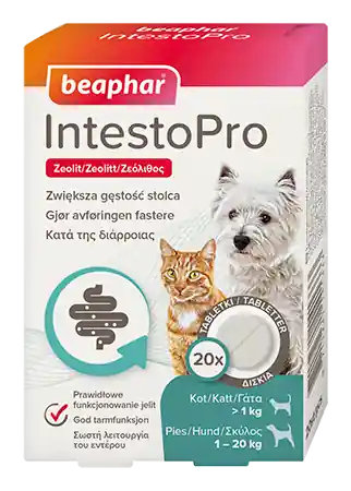 Reapris IntestoPro Tabletter Hund/Katt