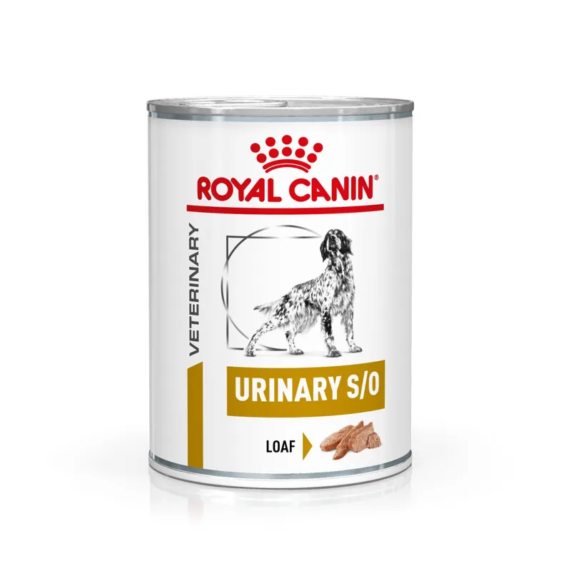 Expressleverans Urinary S/O Loaf Våtfoder för hund 410 g