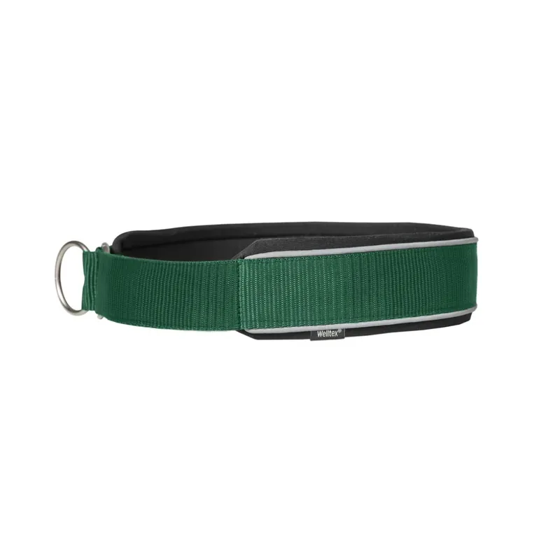 Sänkt pris Charlie Hundhalsband, Grön