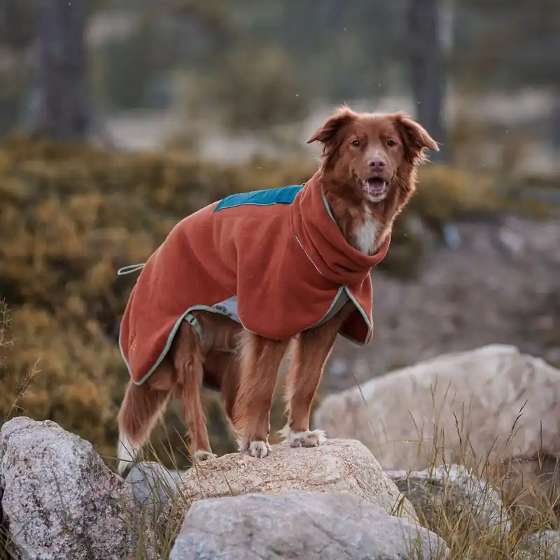 Woolly Wolf Alpha 360 Fleecetäcke Hund Ljusbrun Bästa pris
