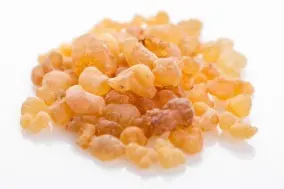 Endast idag Boswellia Serrata