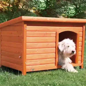 (BV)Hundkoja Platt Tak Erbjudandepris