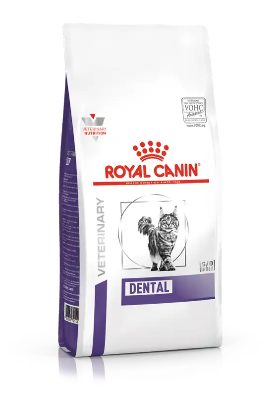 Kampanj Royal Canin Veterinary Diets Health Management Dental torrfoder för katt 1,5 kg