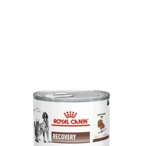 Royal Canin Veterinary Gastrointestinal Recovery Ultra Soft Mousse 12x195 g Endast idag