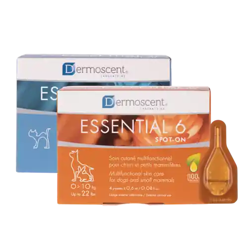 Spot-on Dermoscent Essential 6 Katt 0-10 kg 4x0,6 ml Rabatt