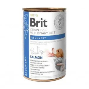 Billigare Brit Recovery Salmon Hund & Katt 6 x400 g