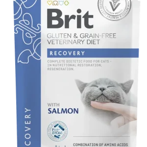 Beställ nu Brit Pouch Recovery med lax 85 g för katter