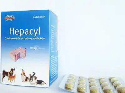 Bästa pris Hepacyl Levertillskott - 60 kapslar