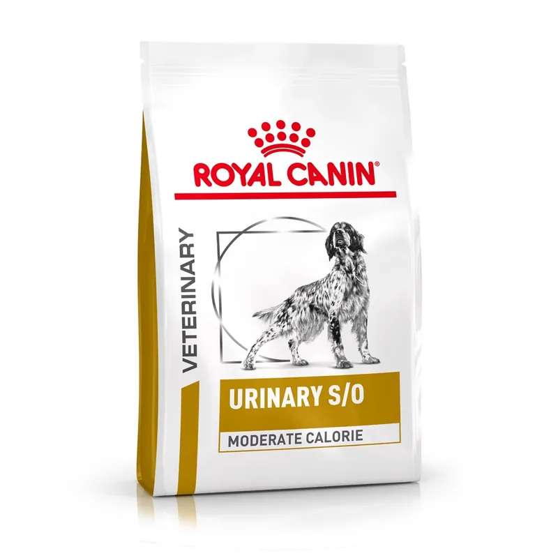 Endast denna vecka Royal Canin Veterinary Diets Urinary S/O Moderate Calorie torrfoder för hund 6,5 kg