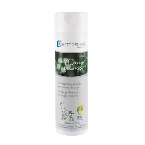 Beställ idag Schampo Dermoscent PYOclean Shampoo Hund & Katt 200 ml