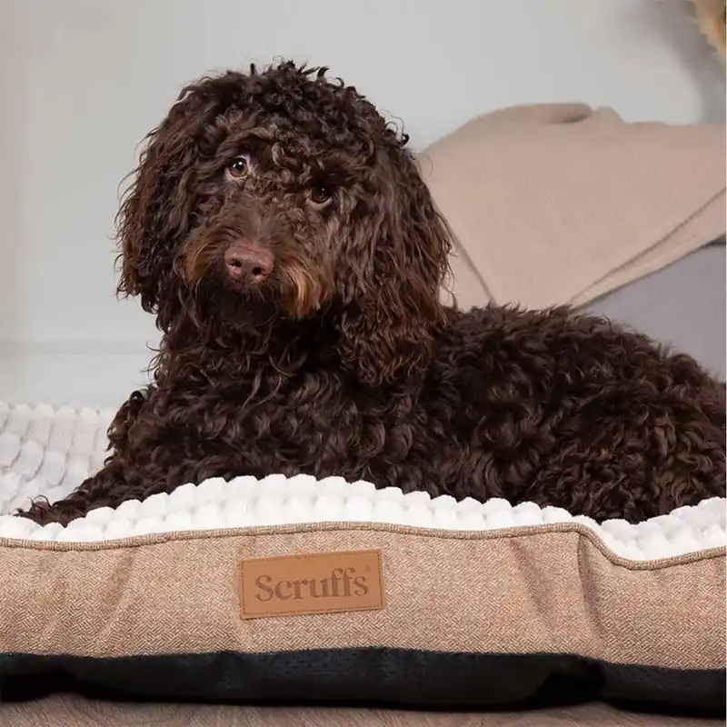 Köp nu Scruffs Ellen Hundmadrass Beige