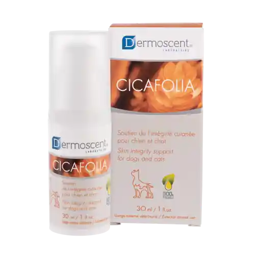 Skyddande Gel Dermoscent Cicafolia 30 ml Handla nu