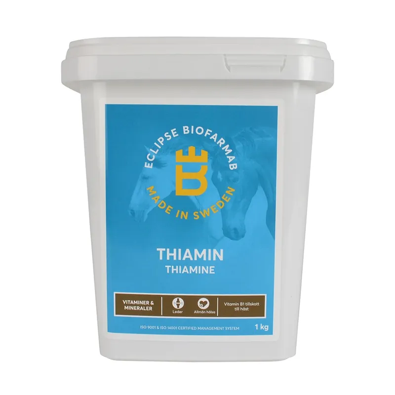 I lager Kosttillskott Eclipse Biofarmab Thiamin 1 kg
