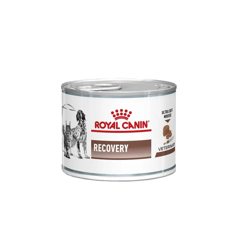 Populär Royal Canin Veterinary Diets Dog/Cat Recovery Wet 12x195 g