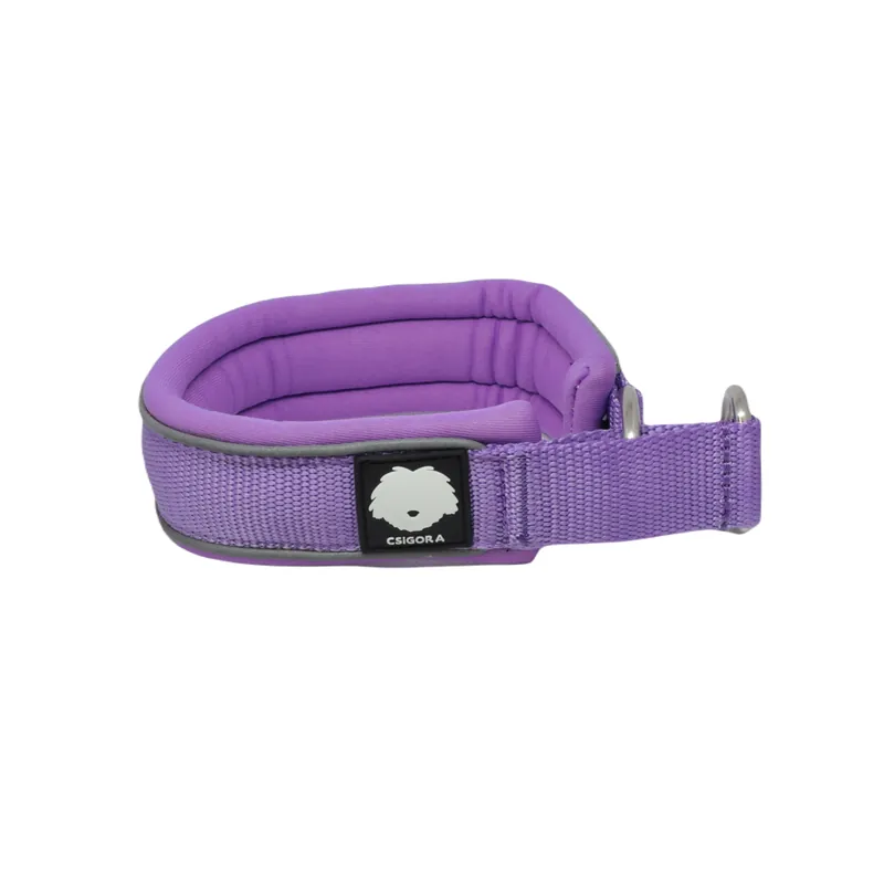 Hundhalsband Halvstryp Endast idag