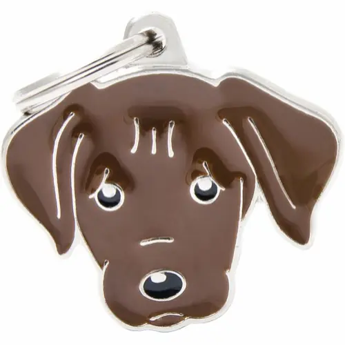 Reapris MyFamily ID-bricka friends, Labrador retriever, brun