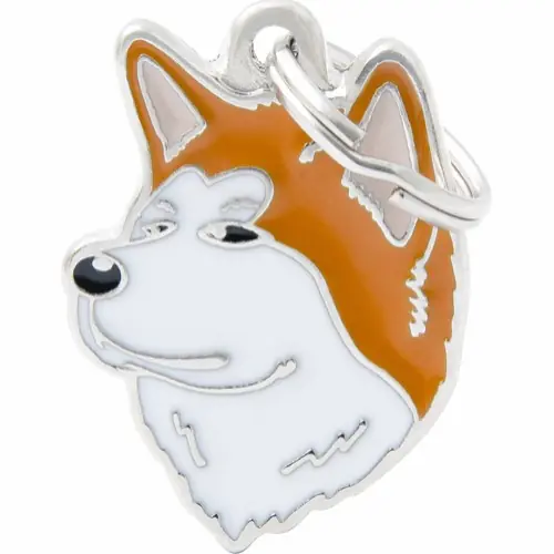 Billigare MyFamily ID-bricka friends, Shiba