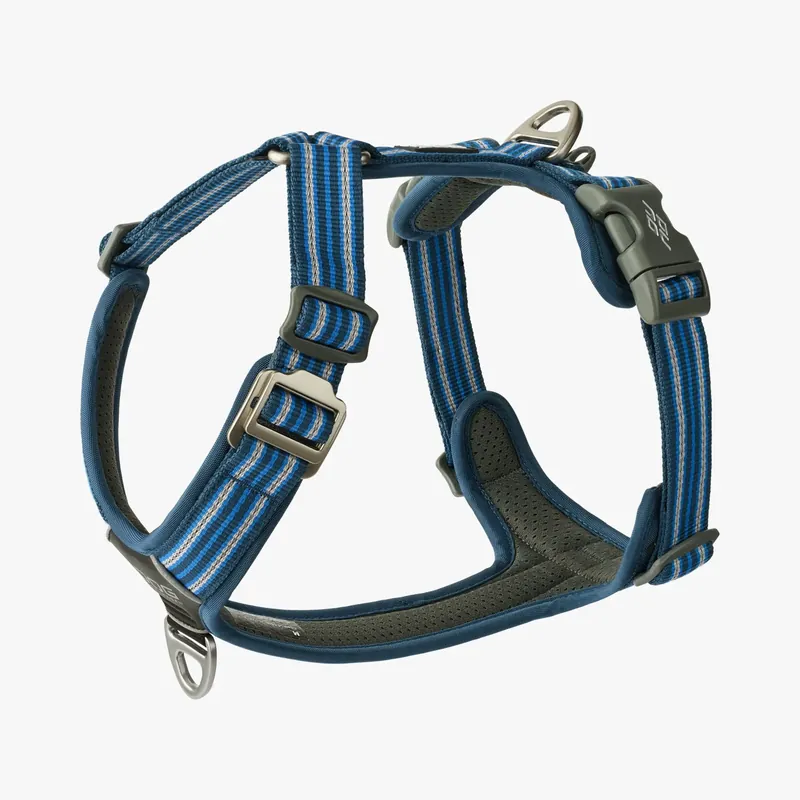 Snabb frakt Dog Copenhagen Comfort Walk Air Ocean Blue